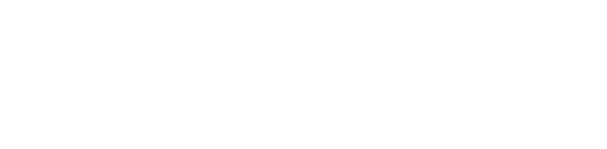 white winndeavor logo